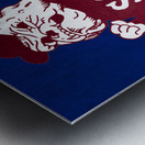 1987 South Carolina State Bulldog Art Metal print