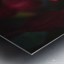 Foggy Geraniums Metal print