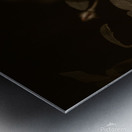 Mini Roses Metal print