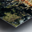 Forest Miniature Metal print