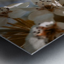 Sakura 2 Metal print