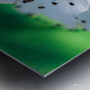 Pixie Cup Metal print