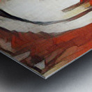 Uncertainty 2 Metal print