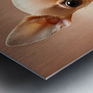 Exploration artistique : Le chihuahua beige dans lunivers de Midjourney Metal print