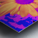 Daisy Dreaming Metal print