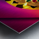 IMG 0383 Metal print