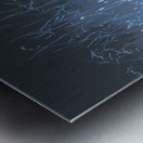  Autumnal Inverted Long Grass in the Mist Metal print