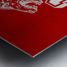 Vintage NC State Wolfpack  Metal print