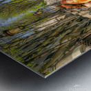 Monks Walking Up to Montmartre Metal print