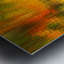 Random Reflections of Fall Trees Metal print