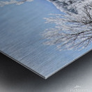 Meeting in Midland Metal print