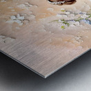 IMG 0269 Metal print