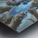 IMG 0264 Metal print