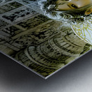 IMG 0273 Metal print