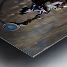 IMG 0417 Metal print