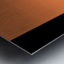 IMG 5414 Original Metal print