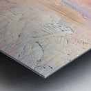 IMG 6937 Metal print