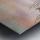 2023 06 29 15 47 51 Metal print