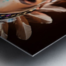 IMG 5042 Metal print