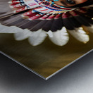 IMG 5038 Metal print