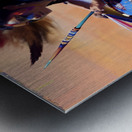 IMG 5053 Metal print