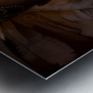 IMG 5045 Metal print