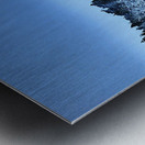 Mad March Pine Forest Snow Metal print