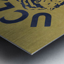 1976 UCLA Bruins Rose Bowl Art Metal print