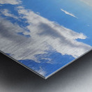 Backlit Yokohaman Beauty Metal print