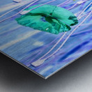 Inverted Poppies of the Scottish Highlands Metal print