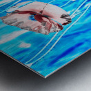 Poster Poppies of the Scottish Highlands Metal print