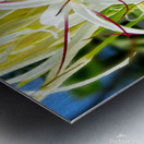 SPYDAHLiLLi Metal print