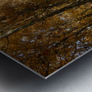 Autumns Ramble in the Scottish Highlands Metal print