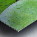 DAD S POND Metal print