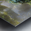 IMG 5438 Metal print