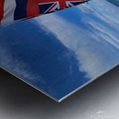 HAWAiiAN Metal print