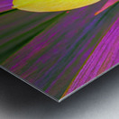 COLORFUL ORCHiD Metal print