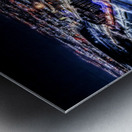 IMG 3746 Metal print