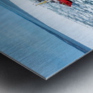 IMG 1514 Metal print