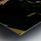 1981 Larry Bird Jumper Metal print