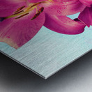  Vibrant lilies Metal print