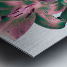  Poster Lilies   Metal print
