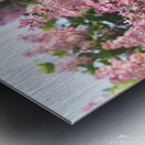 Pink Profusion of Lilacs Metal print