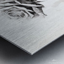 Ochre: Rose in Perpetuity Metal print