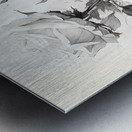 Monochrome Bouquet: Rose in Perpetuity Metal print