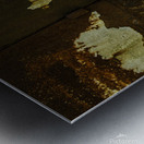 DSC 9580 Metal print