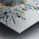 Pale Smeared Sunflower in Monochrome Metal print