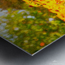 Cheerful Curb Appeal Metal print