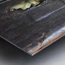 Fara2019 Metal print