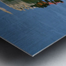 SwanReflects Metal print